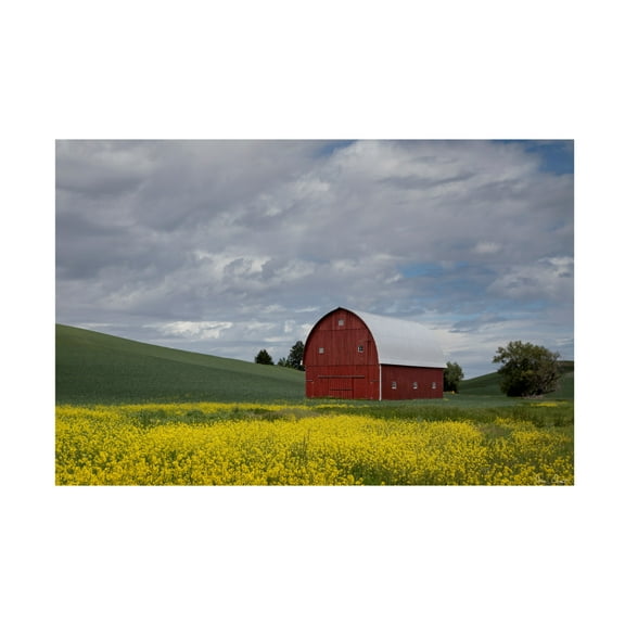 Trademark Fine Art David Drost Palouse Barn and Flowers I Canvas Wall Art
