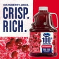 thumbnail image 5 of Ocean Spray® 100% Juice Cranberry Juice Blend, 101.4 fl oz Bottle, 5 of 15