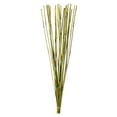 thumbnail image 1 of Vickerman H1ELR100 40-42 Po. Roseau Éléphant Basilic - Ensemble de 10 oz, 1 of 1