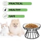 thumbnail image 3 of Raised Ceramic Cat Food Bowl Elevated Dish Anti Slip Stand Wide Shallow Whisker Friendly Black Microwave Dishwasher Safe, 3 of 4