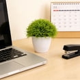 thumbnail image 4 of Miniature Bonsai Tree for Home Desk and Living Room Interior, 4 of 5