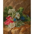 thumbnail image 3 of Anton Mollis 15x18 Black Modern Framed Museum Art Print Titled - Alpenblumen, 3 of 5