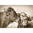 thumbnail image 3 of Schell, Jennie Marie 14x11 Black Modern Framed Museum Art Print Titled - Calf Kiss Sepia, 3 of 5