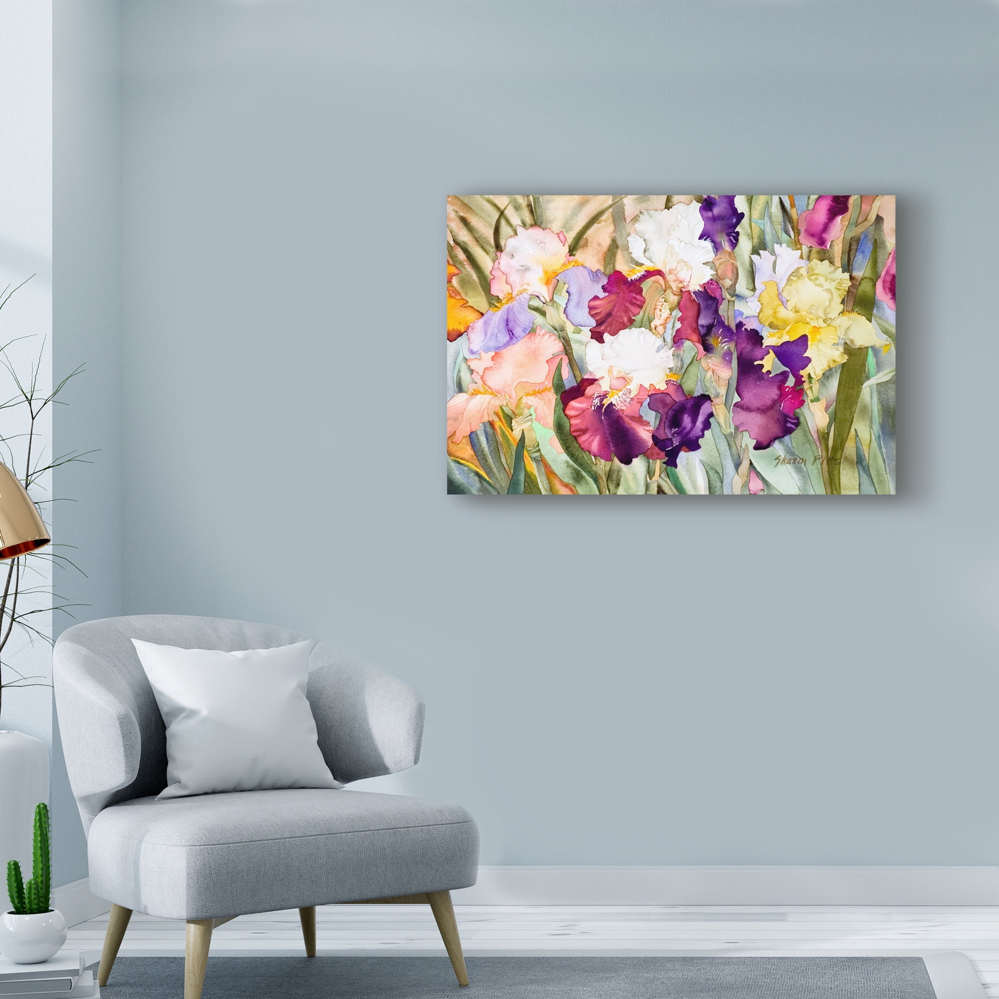 Trademark Fine Art 'Iris Garden 1' Canvas Art by Sharon Pitts