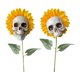 thumbnail image 2 of Muyoka De adornos de Calavera de girasol para Halloween, decoraci贸n divertida para jard铆n, regalo de adornos de Halloween, 2 of 7