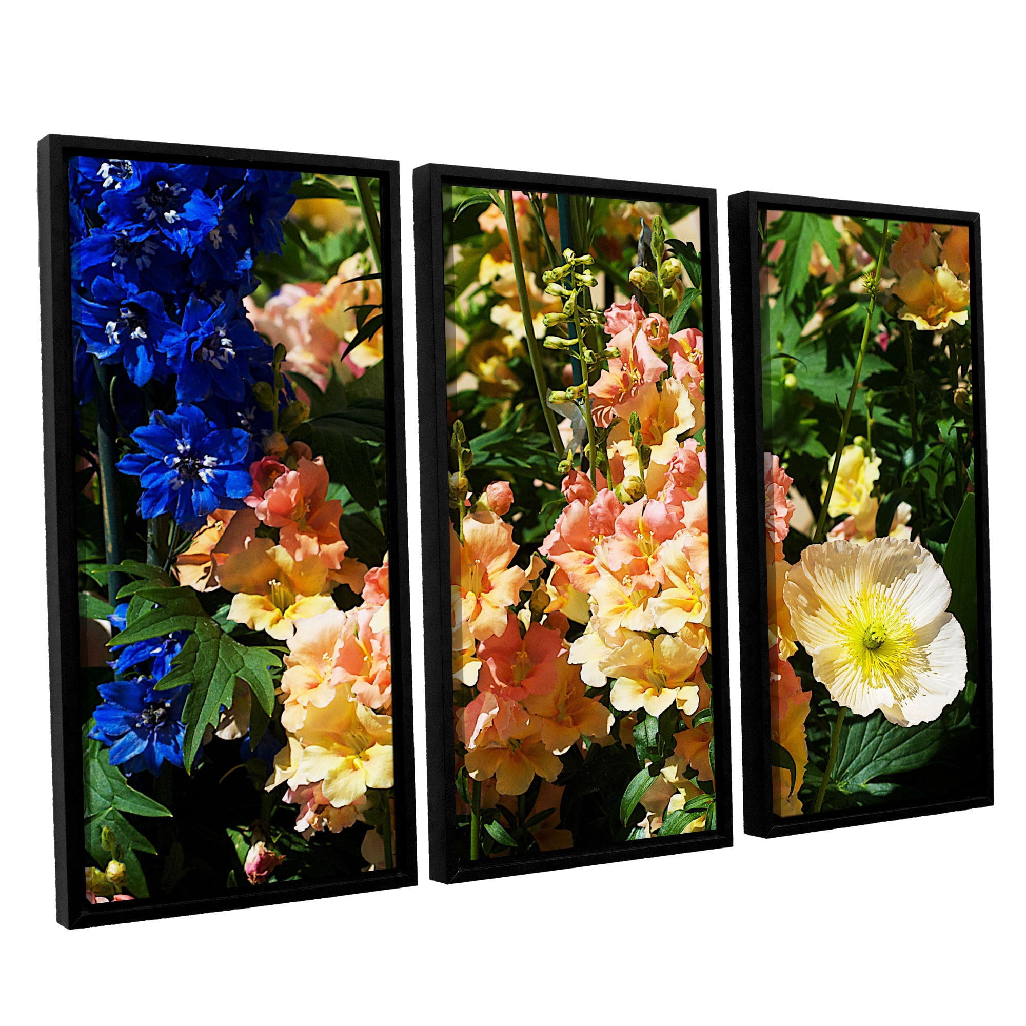 ArtWall Allan Friedlander "Pink Poppy" 3-Piece Floater-framed Canvas Set