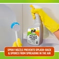 CLR Mold & Mildew Foaming Stain Remover Spray, BleachFree Cleaner, 32
