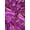 Purple, variant on Chinese Dragon & Phoenix Bird Brocade Satin, Sells by the Yard From Sal Tex Fabrics, Black