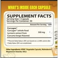Turmeric Curcumin Supplement for Joint, Gut & Mood Support–39X ...