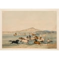 thumbnail image 2 of George Catlin 24x18 Black Ornate Framed Double Matted Museum Art Print Titled: Wild Horses at Play (1844), 2 of 5