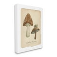 thumbnail image 4 of Stupell Industries Woodland Mushrooms & Snail Botanical & Floral Painting Gallery Wrapped Canvas Art Print Wall Art, 36 x 48, 4 of 8