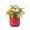 A, variant on Smart Flower Pot with Bluetooth Speaker 4 Inch Indoor Planter