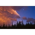 thumbnail image 2 of Grandmaison, Mike 24x17 White Modern Wood Framed Museum Art Print Titled - Canada, Alberta, Jasper NP Clouds over forest, 2 of 4