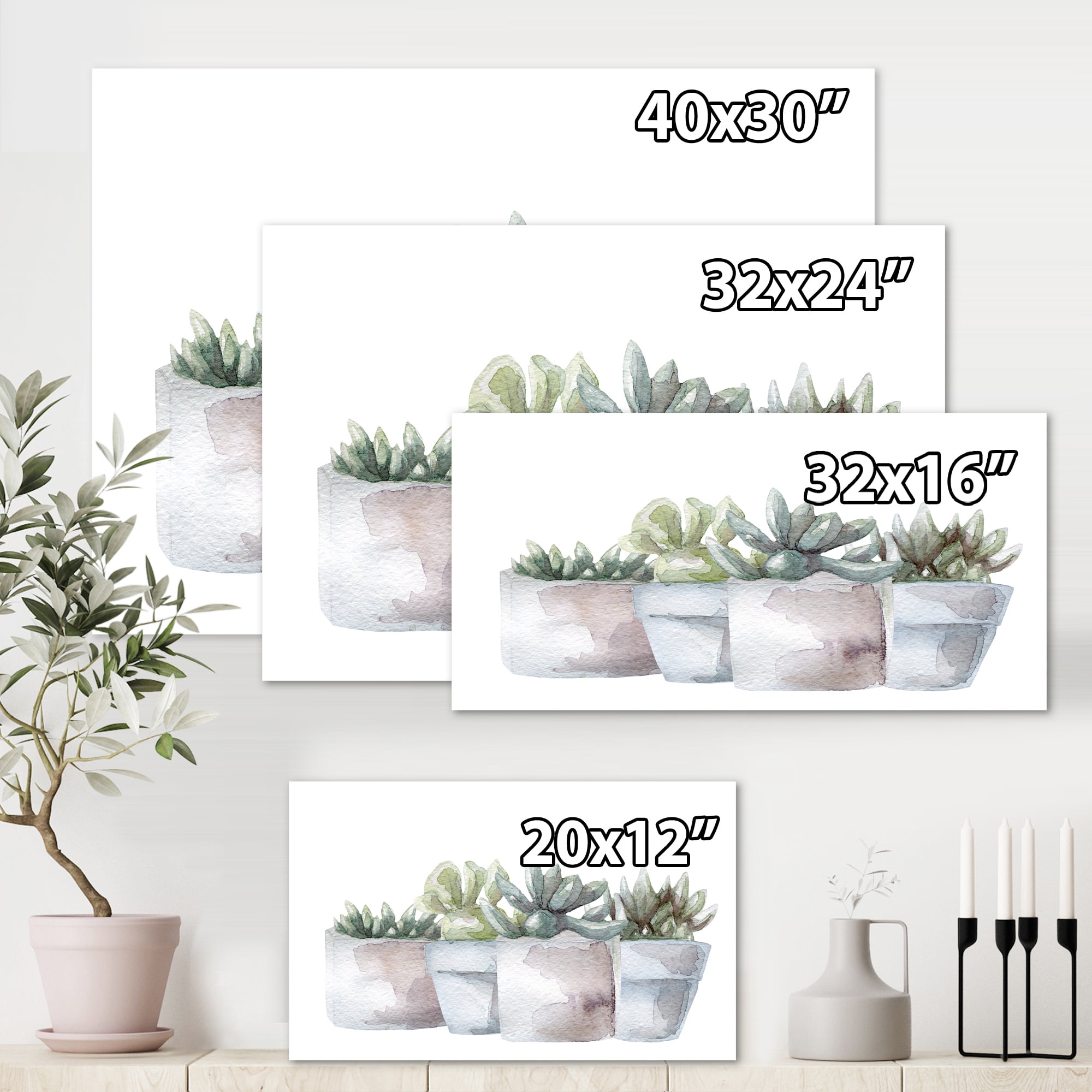 Designart ' Succulent and Cactus House Plants III ' Farmhouse Canvas Wall Art Print