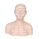thumbnail image 3 of Cabeza de maniquí con de acupresión, compacta, y realista, modelo de cabeza de entrenamiento profesional para facial de spa., 3 of 9