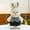 A, variant on Vintage Rabbit Plush Toys, Adorable Snuggly Soft Skin-Friendly Couple Stuffed, Cute Romantic Valentine's Day Gift for Her & Him, Valentine's Day Lovable Plush Dolls for Couples (White+Black/13.7in)