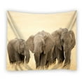 thumbnail image 1 of EREHome Animals Baby Elephant Tapestry Polyester Fabric Tapestries Wall Art Hanging 60x90 Inches, 1 of 3