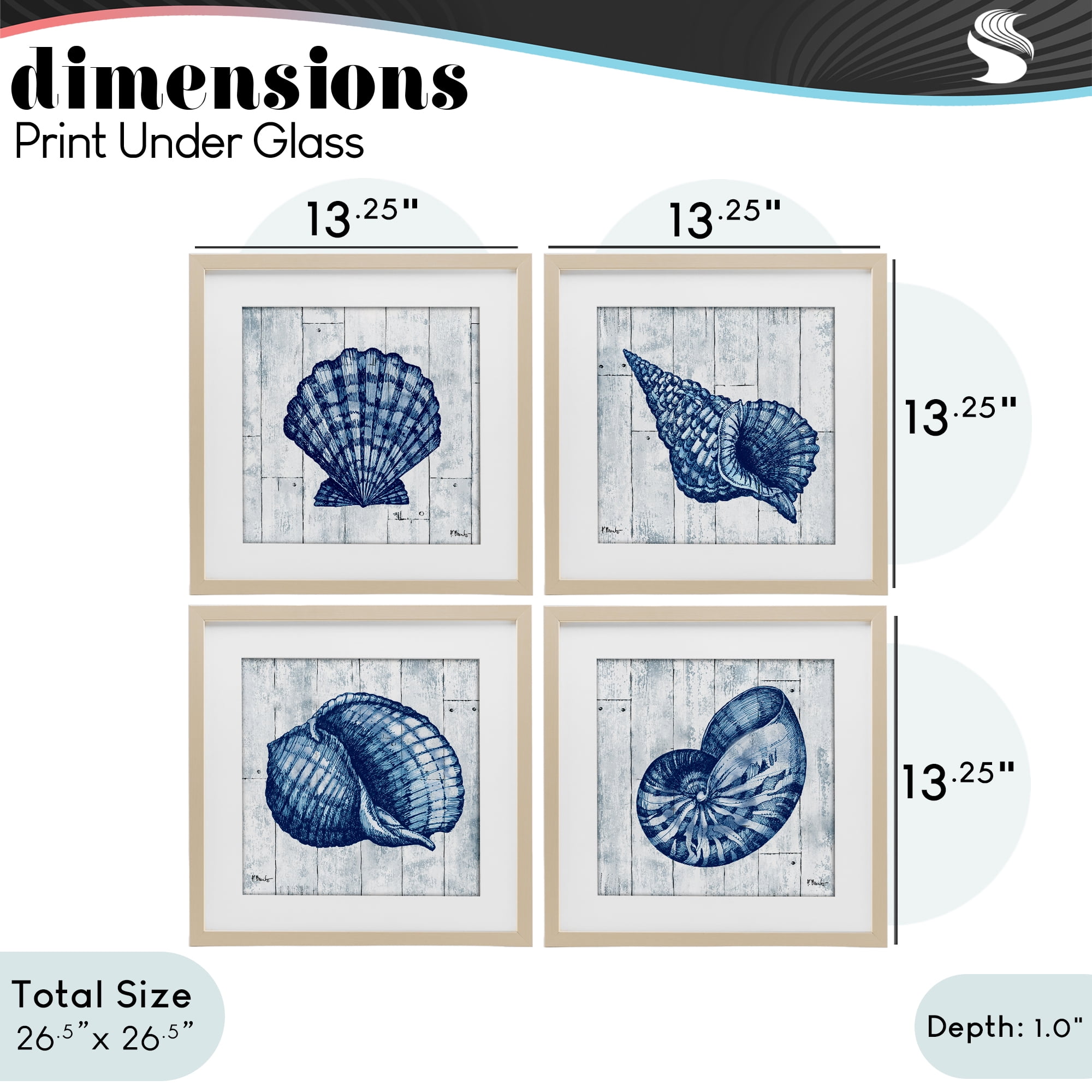 Stupell Industries Coastal Timberland Seashells 4 Piece Birch Framed Print Under Glass Set, design by Paul Brent