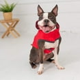 thumbnail image 6 of Gf Pet Reversible Elastofit Raincoat (pack Of 1), 6 of 7