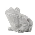 thumbnail image 2 of Urban Trends Cement Northern  Rainfrog, 2 of 2