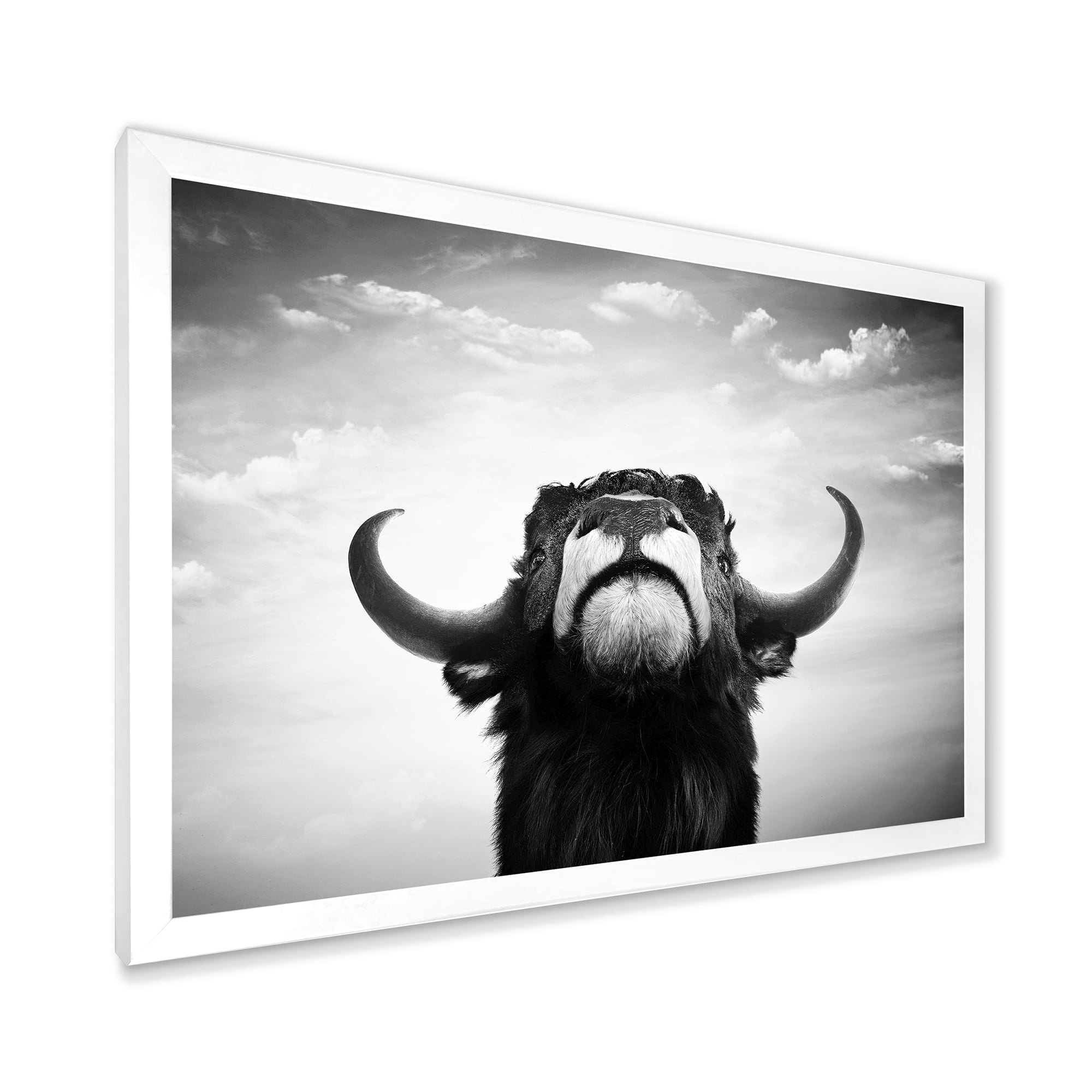 Designart 'Black and White Portrait Of A Spanish Bull I' Farmhouse Framed Art Print