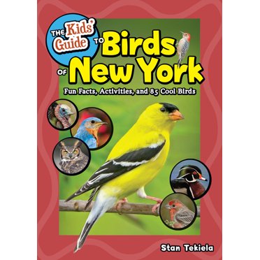 Birding Children's Books The Kids' Guide to Birds of Pennsylvania: Fun ...