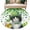 Green Gold, variant on Entryway Rug 2'x3', St. Patrick's Day Small Rug for Kitchen Bathroom Door Mat Indoor Entrance, Cat Beer Green Clovers Buffalo Plaid Non-Slip Area Rugs Floor Mats Carpet Front Door Rugs