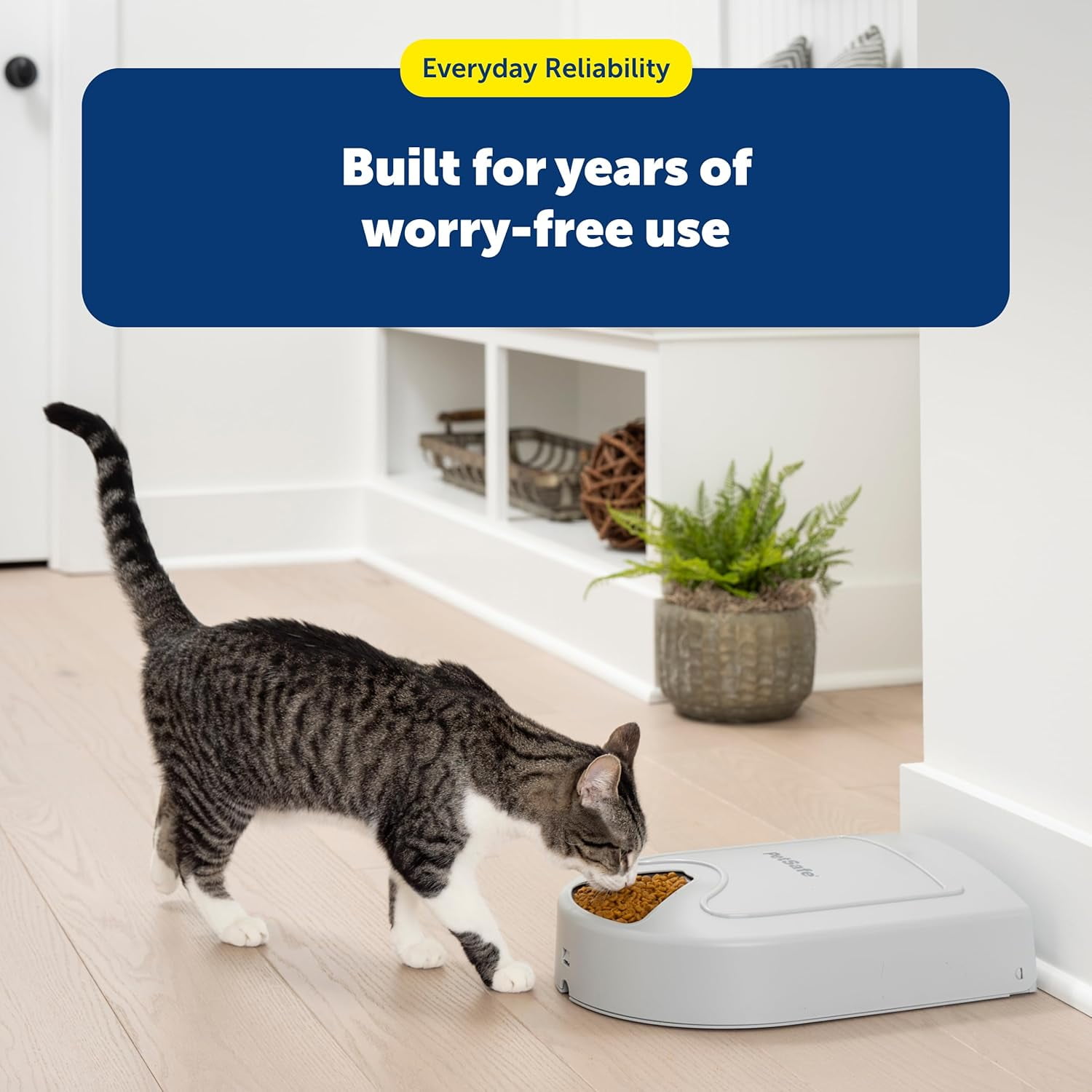 Automatic Dog Feeder, 5 Meals, 40 oz Capacity, Plastic, for Dry Food, Multiple Pets