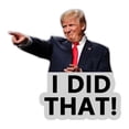 thumbnail image 1 of 2 INCH 100 PCS I Did That Stickers Campaign Logo Parody Sticker for Car Motorcycles Helmets Laptop Deco Funny Sticker Pointed To Left And Right, Suitable for Helmets, Laptops Windows, 1 of 9