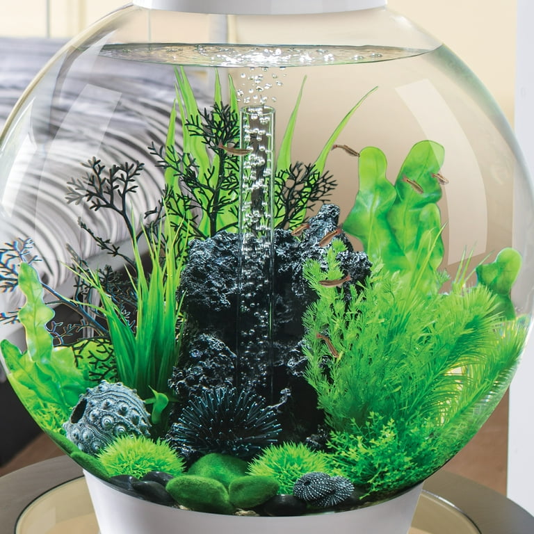biOrb Medium Green Plant Set - Aquarium Plant Decoration - Walmart.com