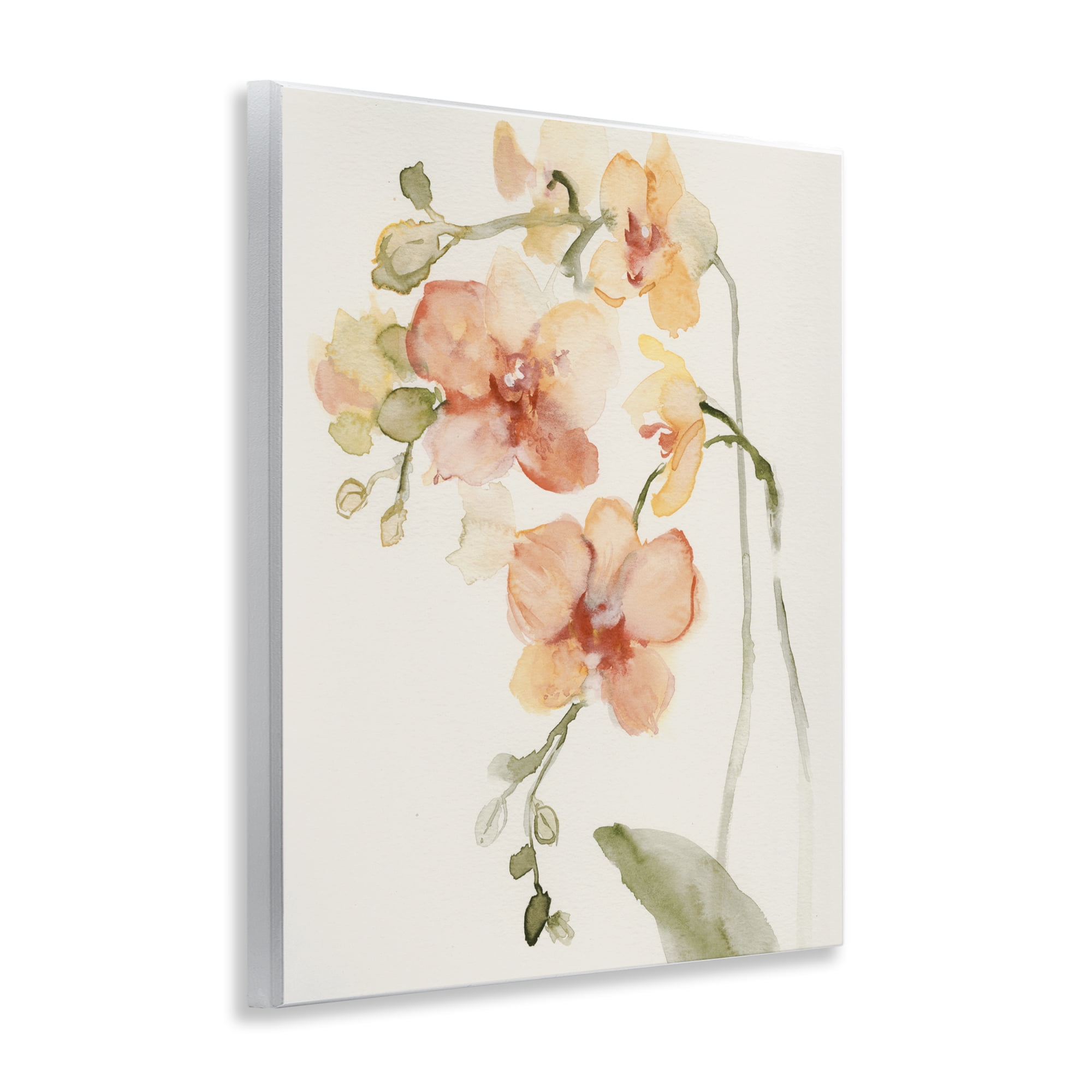 Stupell Industries Peach Orchid in Bloom Wall Plaque Art, design by Victoria Barnes