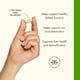 thumbnail image 4 of Swanson Uric Acid Cleanse Kidney Support, 7 hierbas, 60 cápsulas vegetarianas, 4 of 7
