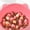 Pink, variant on Lumxatz Slow Feeder Cat Bowl Elevated Raised Cat Food Bowl Anti Gulping Interactive Feeding Bowl for Dry Wet Food Non Cat Slow Feeder 4.9x5.5x3.5 Inches,Blue