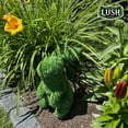 thumbnail image 3 of Lush Estate Artificial Grass Topiary Rabbit Decor, 9 in, 3 of 6