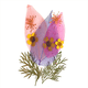 thumbnail image 3 of 50 piezas de flores secas adornos prensados ​​joyería de jabón de resina DIY, 3 of 9