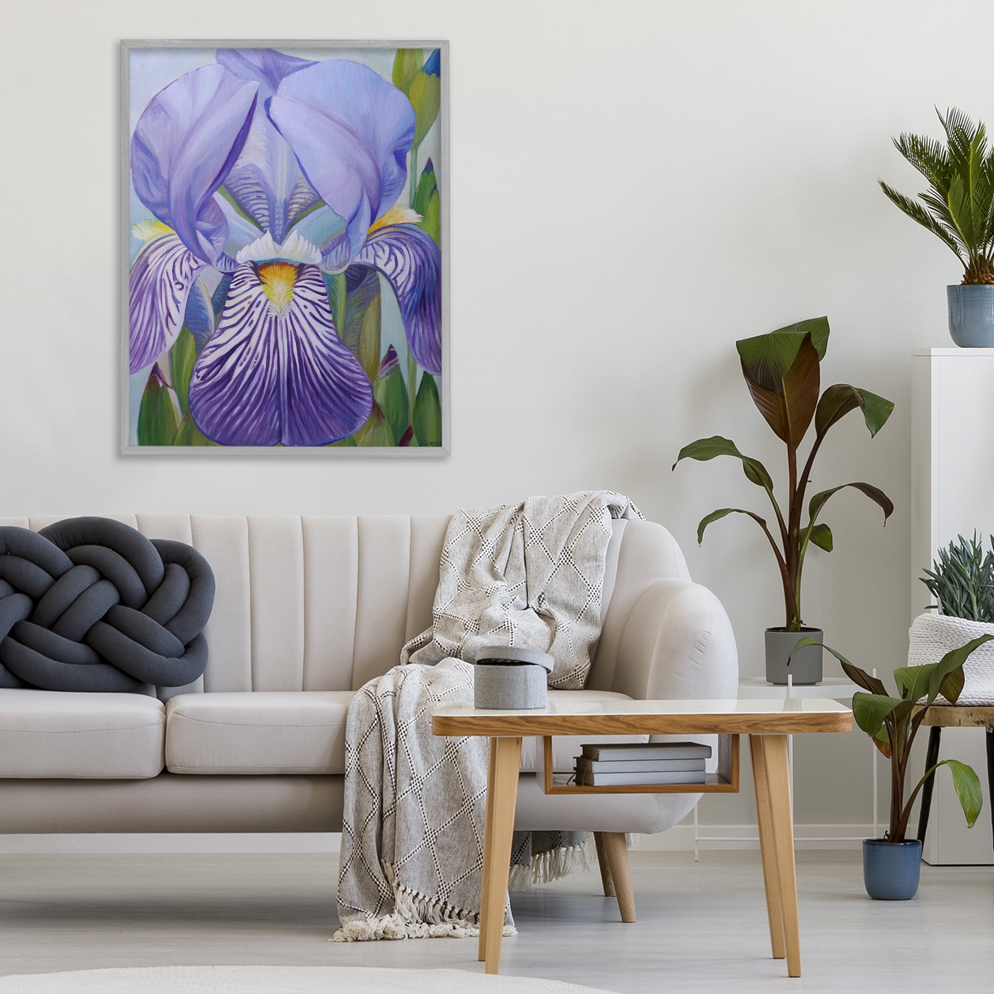 Stupell Industries Blooming Purple Iris Petals Gray Framed Giclee Art, design by Violeta Vollmer