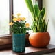 thumbnail image 2 of Maceta para orquídeas, maceta de cerámica para orquídeas, maceta hueca para plantas de interior, maceta cilíndrica para jardinería con agujeros y platillo., 2 of 7