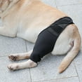 thumbnail image 3 of Almohadillas Protectoras para Codo de Perro para Soporte de Codo Y ro Canino, Higroma de Codo, Osteoartritis, de Codo Y Dislocación de , M M Sunnimix  Soporte de codo, 3 of 8