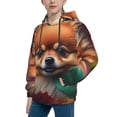 thumbnail image 2 of Fotbe Colorful Leaf Chihuahua Pattern Youth Pullover Hooded Sweatshirt, Boys Hoodie, Kangaroo Pocket Hoodie for Kids Girls -Medium, 2 of 6