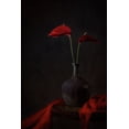 thumbnail image 2 of Jacobs, Lydia 13x18 Gold Ornate Wood Framed with Double Matting Museum Art Print Titled - Tropical Anthurium, 2 of 4