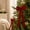 Wine red, variant on Velvet Ribbon Bows 10-Pack Pre-Tied Long Tail Dark Green Christmas Tree Decor 12.4 In Fabric Bow