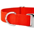 thumbnail image 7 of Country Brook Petz® Premium Nylon Dog Collar with Metal Buckle for Small Medium Large Breeds (Small, 3/4 Inch, Hot Orange), 7 of 7