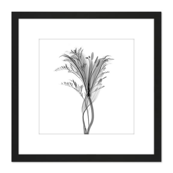 Schwartz NJIT Plant Greyscale X-Ray Transparent Photo 8X8 Inch Square Wooden Framed Wall Art Print Picture with Mount