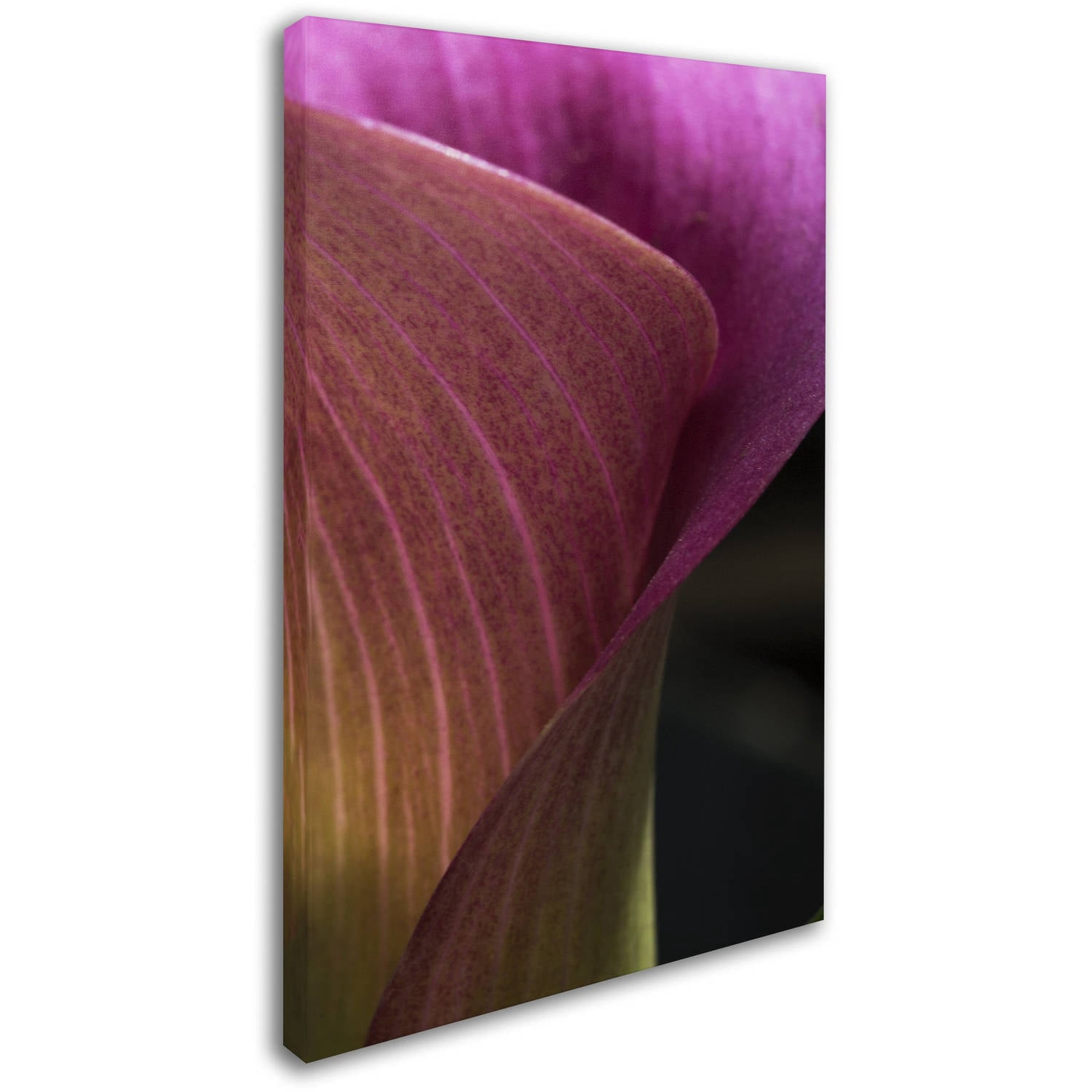 Trademark Fine Art "Part of a Calla Lily" Canvas Art by Kurt Shaffer