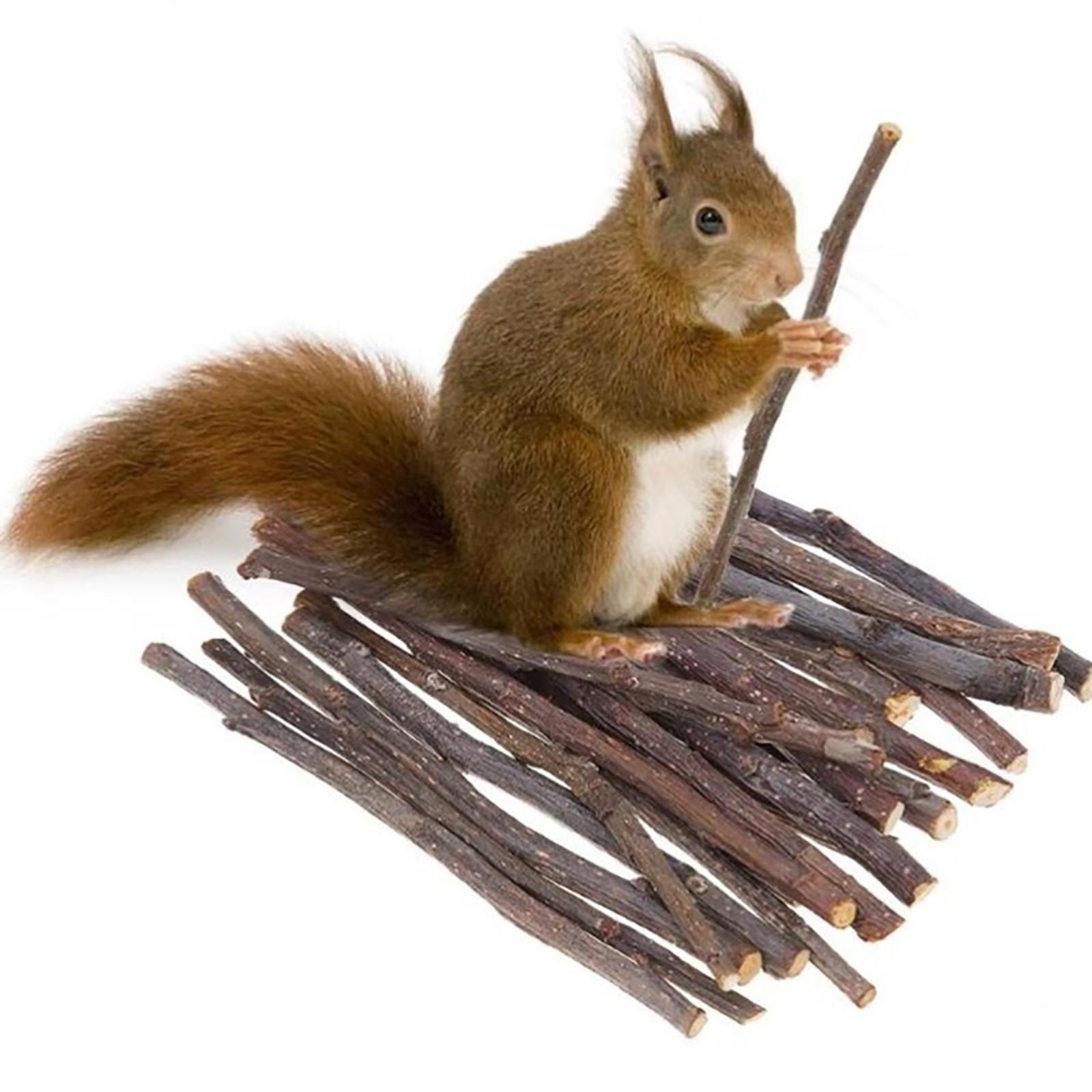 EHJRE Natural Hamster Chew Sticks, Molar Twigs, Accessories, Bunny Branches Rat Toys, Wood for Rodent Animals Groundhog Squirrels Treats