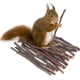thumbnail image 5 of Palitos masticables para hámster, accesorios de limpieza , juguetes de madera para roedores, 5 of 9