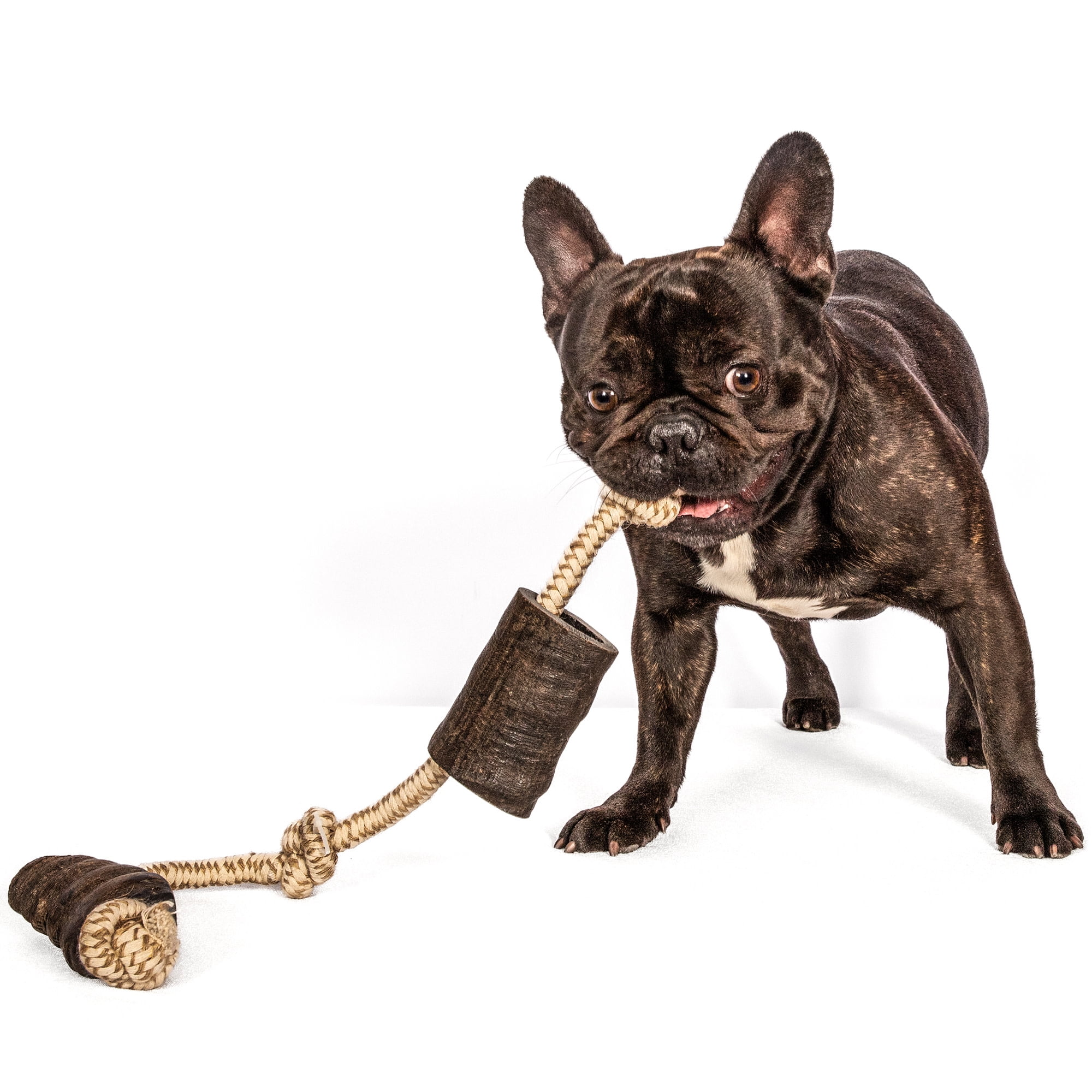 Mossy Oak: Water Buffalo Horn & Tug Dog Chew - 34" Slip-Knot Natural Cotton Rope, Pet Toy, Preservative Free Horn, Long-Lasting, Combines Play-Chewing