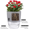 thumbnail image 6 of Sunjoy Tech Self Watering Planter Pots, Indoor Home Garden Modern Decorative Pot for Potting Small House Plants African Violet Cactus Herbs Succulents or Start Seedlings, 6 of 8