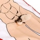 thumbnail image 3 of Atractivo Cuerpo Del 3d Favor Despedida De Soltera, 3 of 7