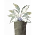 thumbnail image 2 of Allen, Kimberly 26x32 White Modern Wood Framed Museum Art Print Titled - Olive Pot 2, 2 of 4